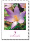 5 cent Bloemenreeks